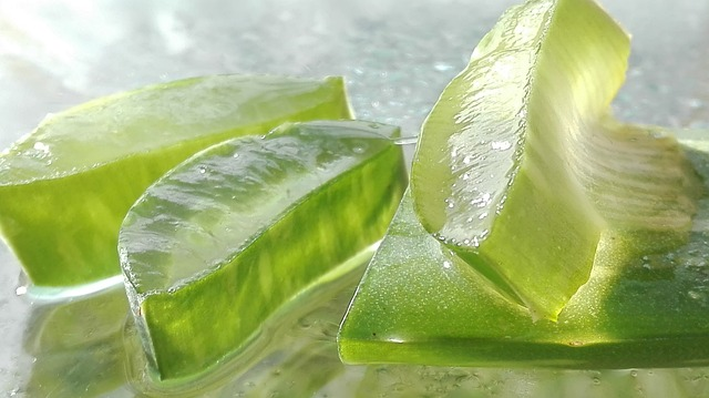 Every advantage of aloe vera for skin care and why you need to try it!