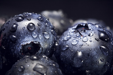 close up of blueberries with water droplets on them.