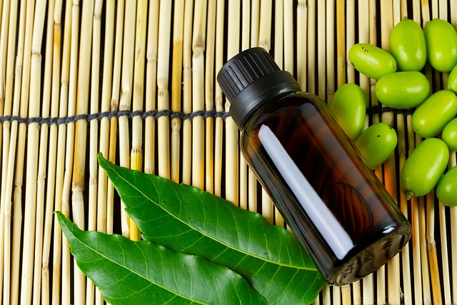 6 incredible benefits of neem oil for your skin